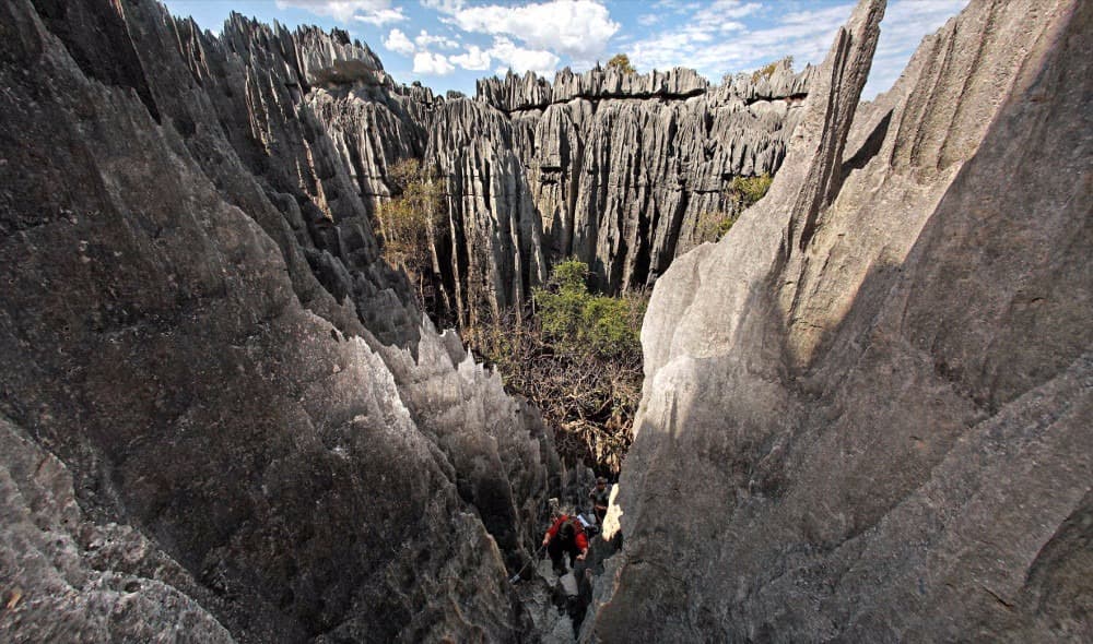 detours madagascar tsingy de bemara3