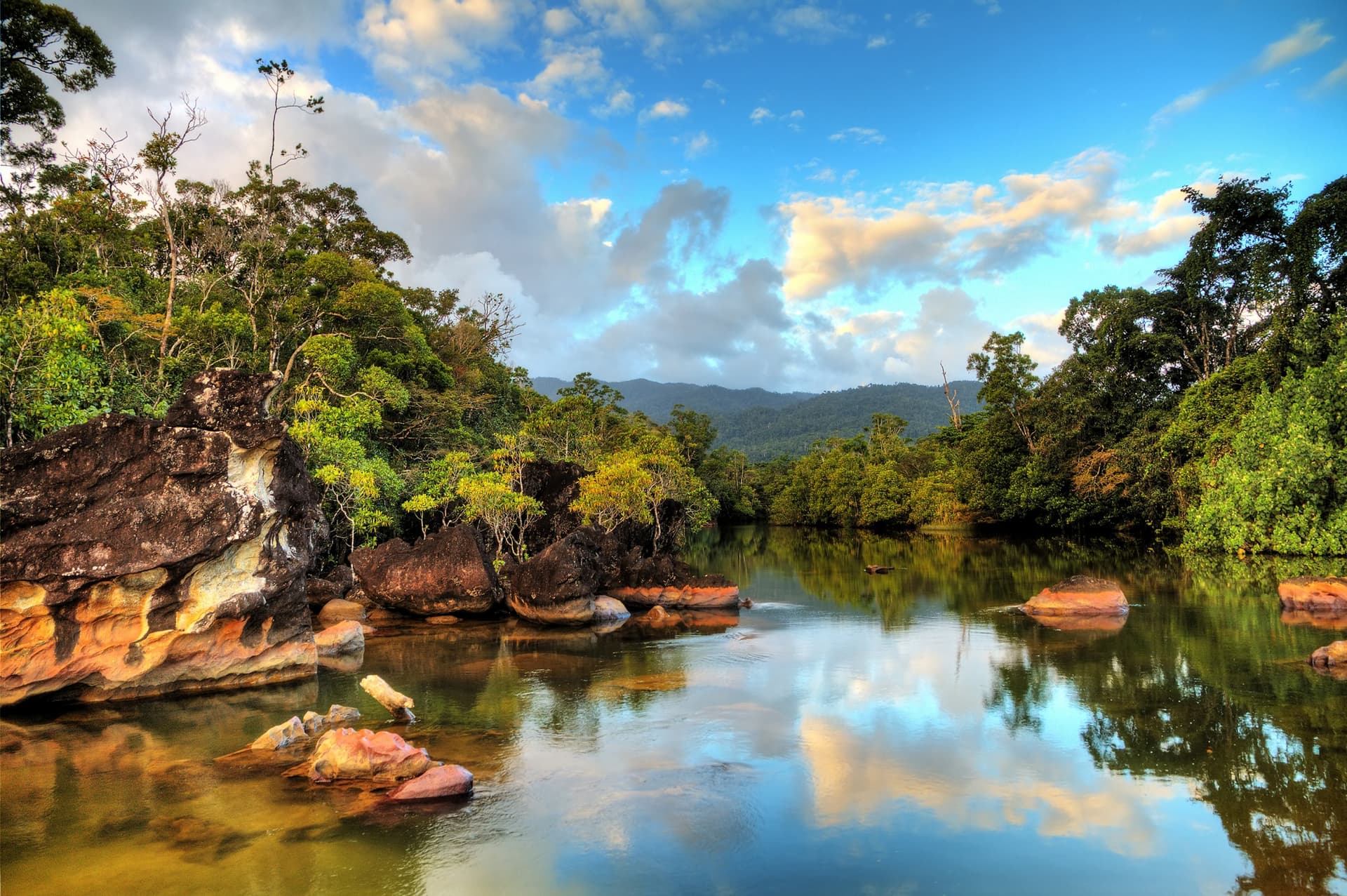 beautiful view of a stream in the rainforest jungle of the masoala national park in madagascar a unesco world heritage site