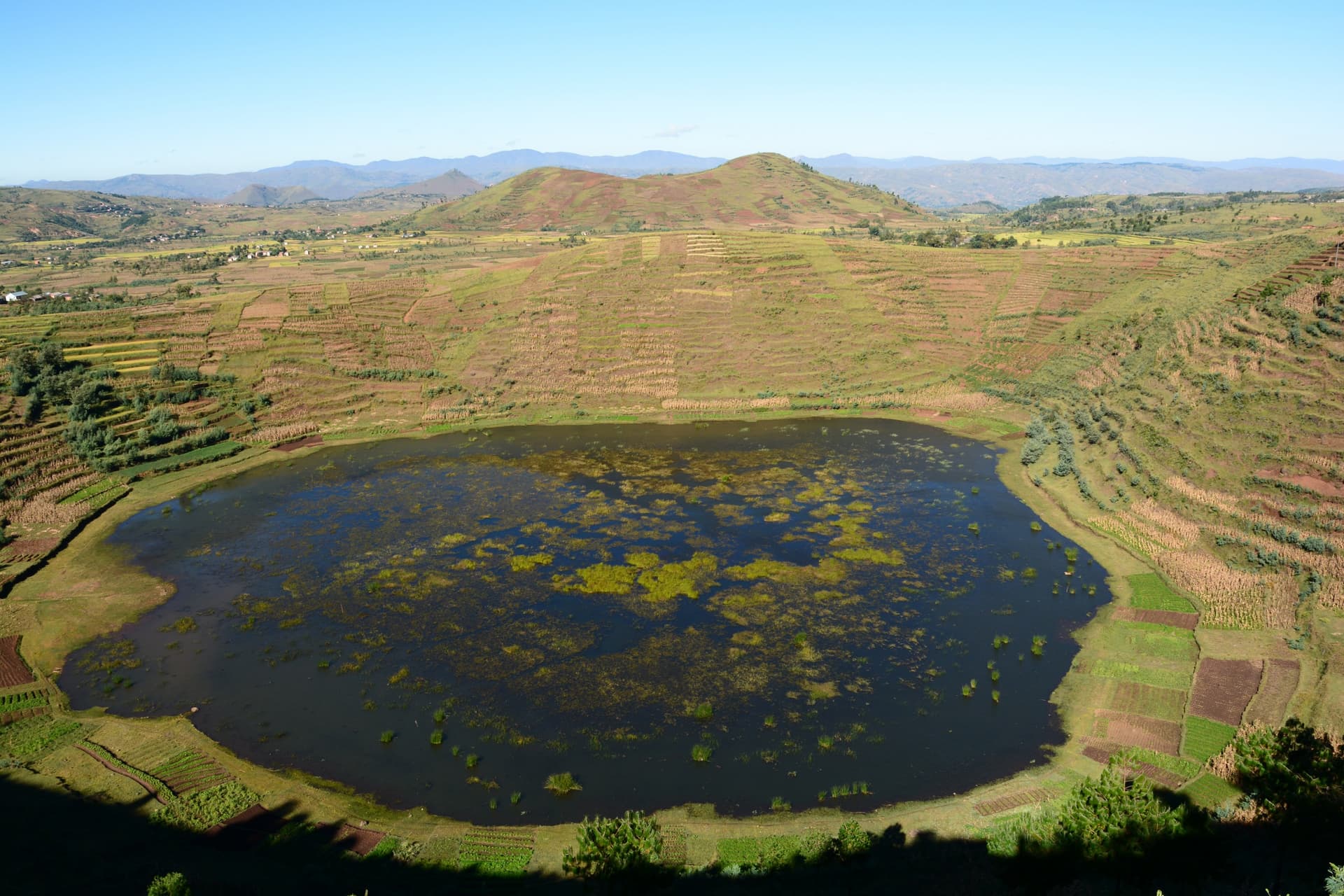 La rizipisciculture à Madagascar : une pratique qui devrait être une référence