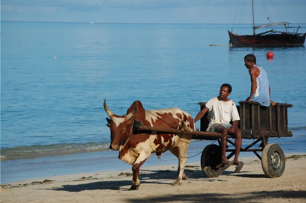 detours madagascar charette plage