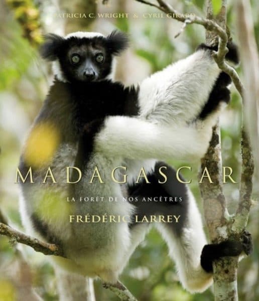 Madagascar, la forêt de nos ancêtres