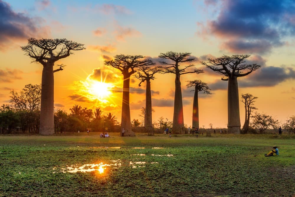 5 bonnes raisons de partir en voyage à Madagascar