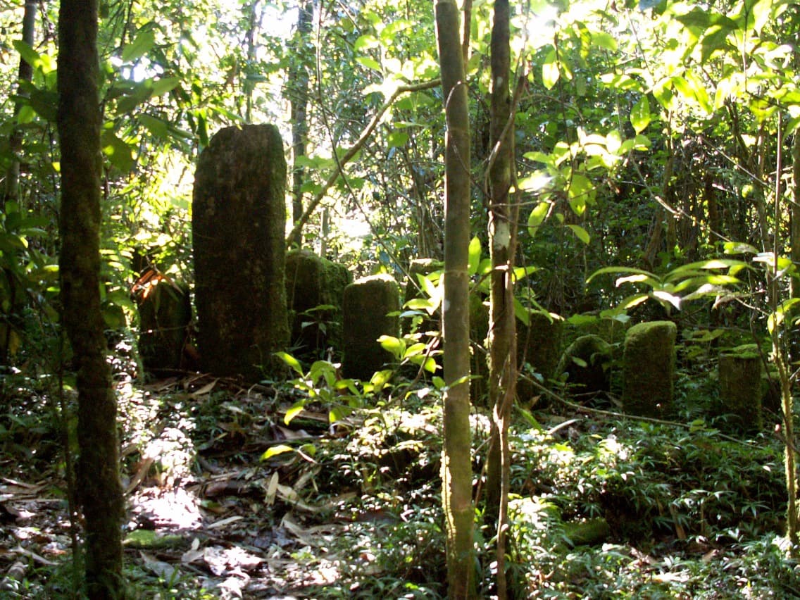 Fin du trek en forêt tropicale